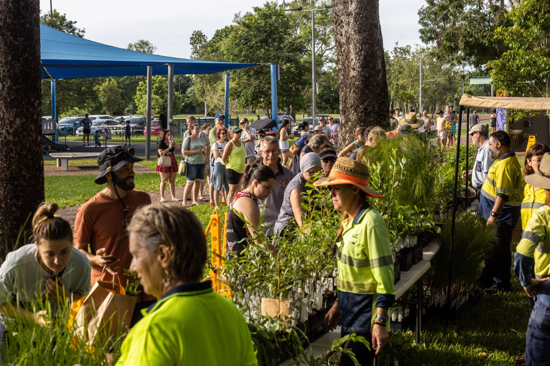 Native Plant Giveaway Nightcliff Foreshore City of Darwin Darwin